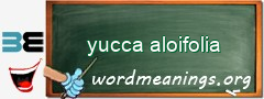 WordMeaning blackboard for yucca aloifolia